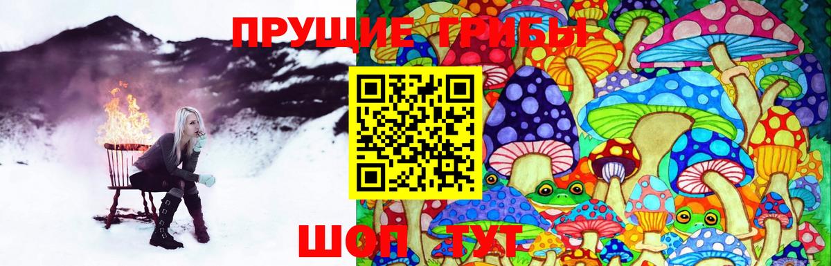 Галлюциногенные грибы Psilocybe  Вход с VPN  Протвино  Галлюциногенные грибы GOLDEN TEACHER 
