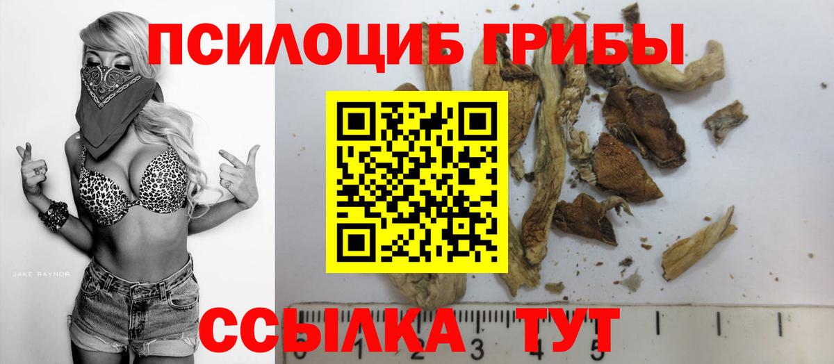Галлюциногенные грибы GOLDEN TEACHER Протвино